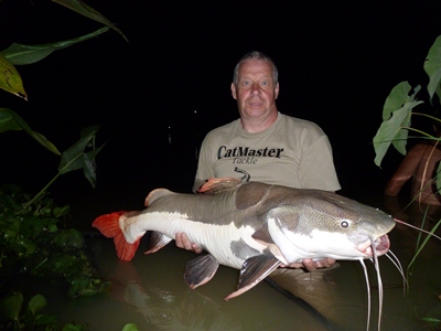 Amazon Red Tail Catfish 50lb.